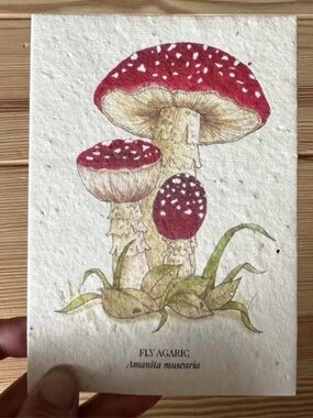 Agaric  Plantable Wildflower Seed Greeting Card